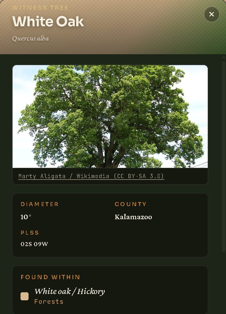 A witness tree card from the atlas: a white oak, Quercus alba, 10 inches in diameter, recorded in Kalamazoo County and found within the white oak and hickory community