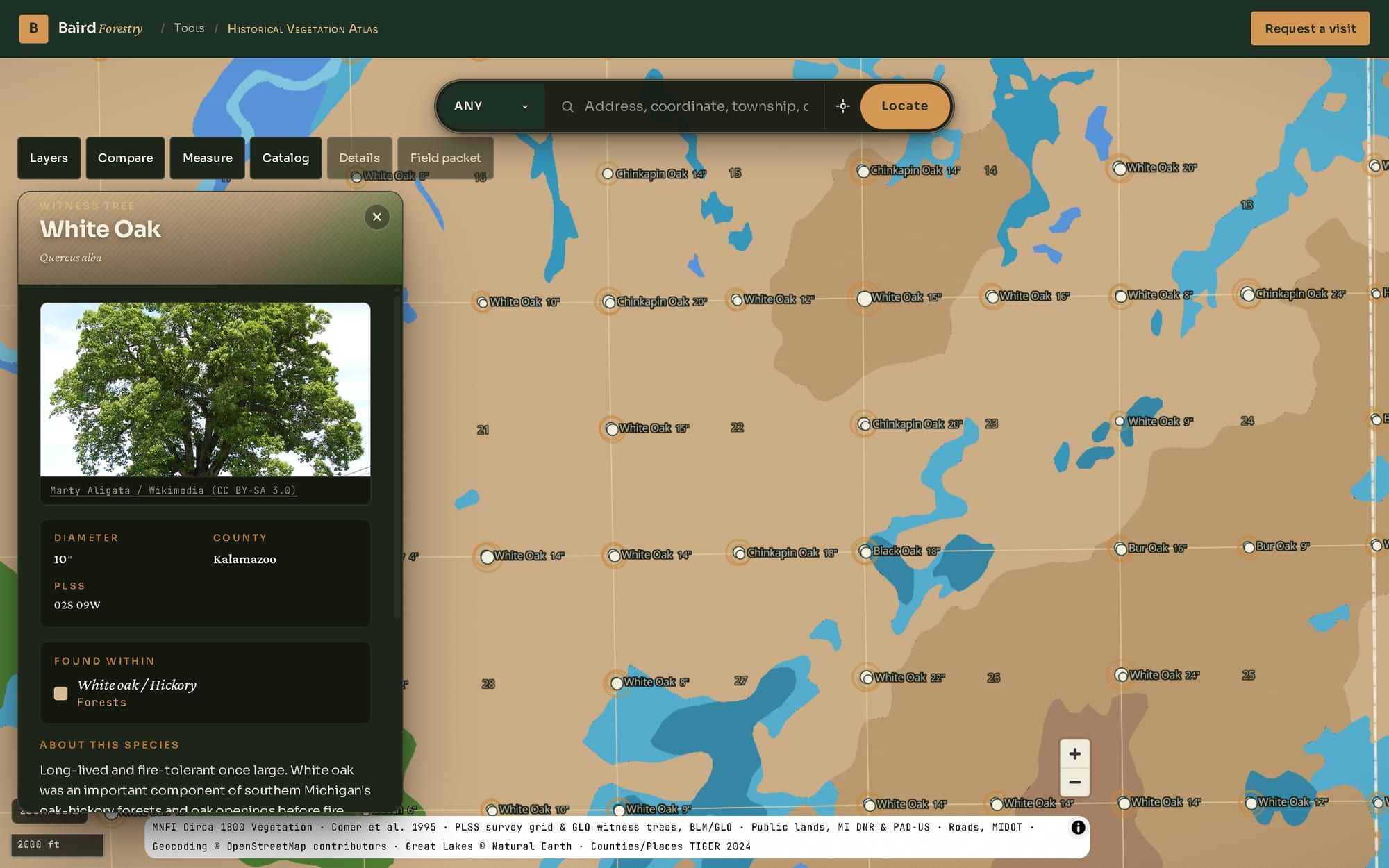 Witness trees at section corners labeled with species and diameter, mostly white oak, chinkapin oak and bur oak, with the card open for a 10-inch white oak found within White oak and Hickory forest
